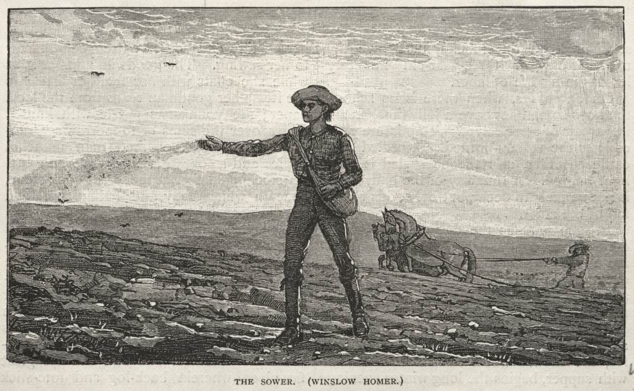 The parable of the Sower on spiritual growth